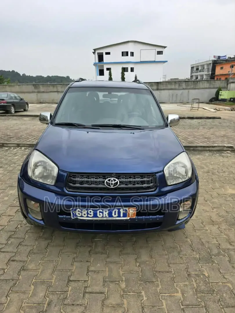Toyota RAV4 2005 Bleu