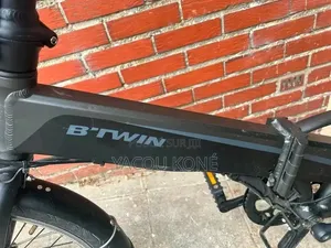 Tout Passe Dans Le Vélo Électrique