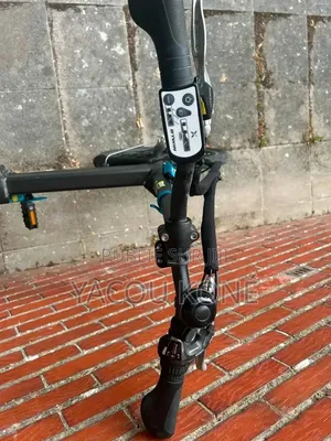 Tout Passe Dans Le Vélo Électrique