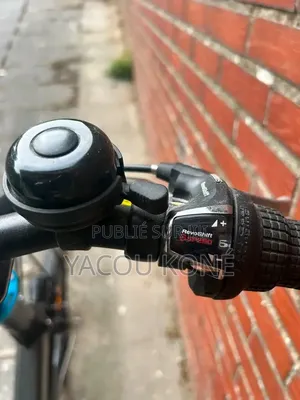 Tout Passe Dans Le Vélo Électrique