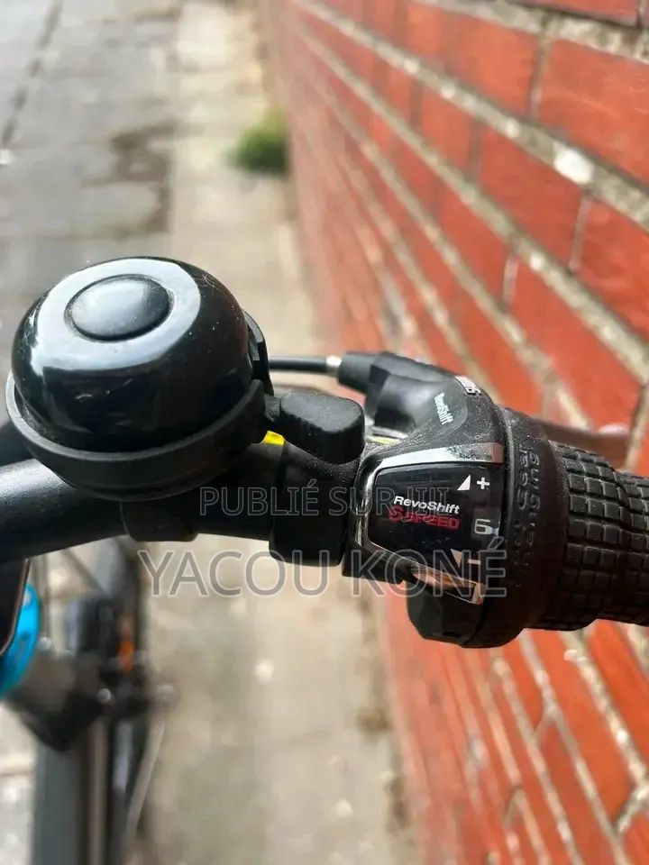 Tout Passe Dans Le Vélo Électrique
