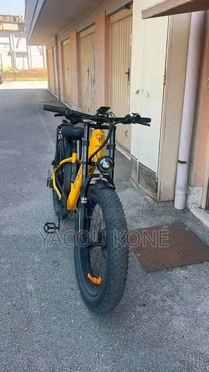 Tout Passe Dans Le Vélo Électrique