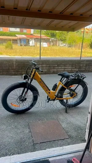 Tout Passe Dans Le Vélo Électrique