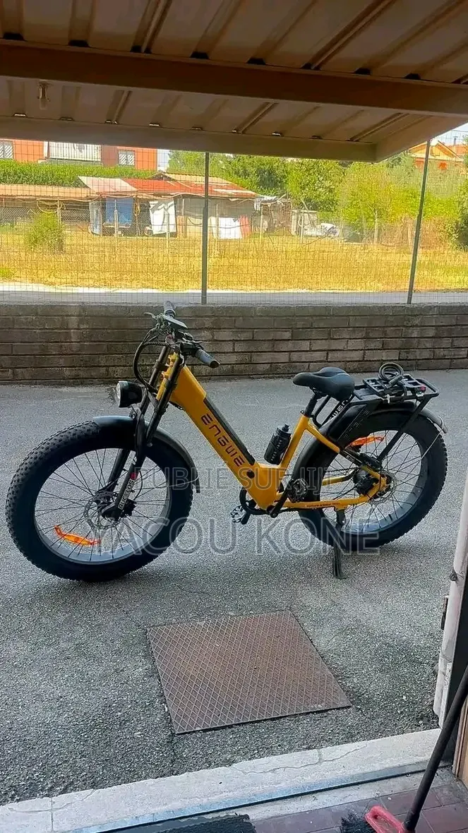 Tout Passe Dans Le Vélo Électrique