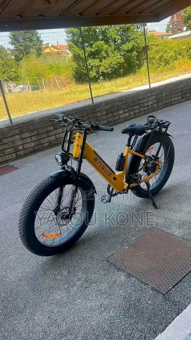 Tout Passe Dans Le Vélo Électrique