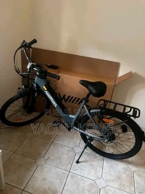 Tout Passe Dans Le Vélo Électrique