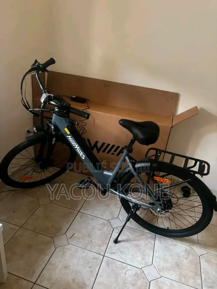 Tout Passe Dans Le Vélo Électrique