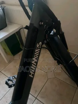 Tout Passe Dans Le Vélo Électrique