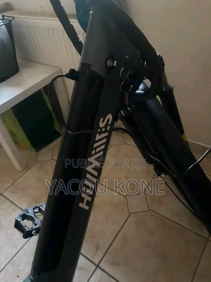 Tout Passe Dans Le Vélo Électrique