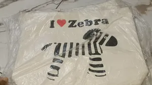 Totebag Différents Modèles