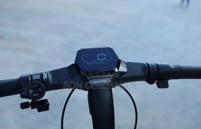 Trotinette Électrique Segway ZT3Pro