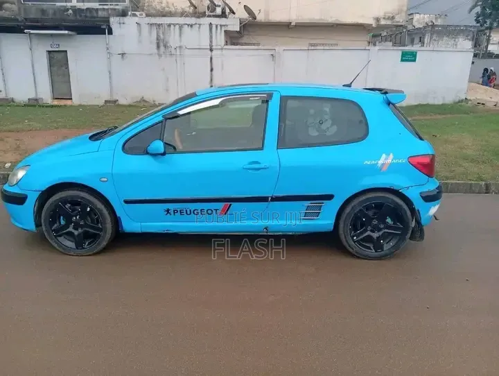 Peugeot 307 2010 Bleu