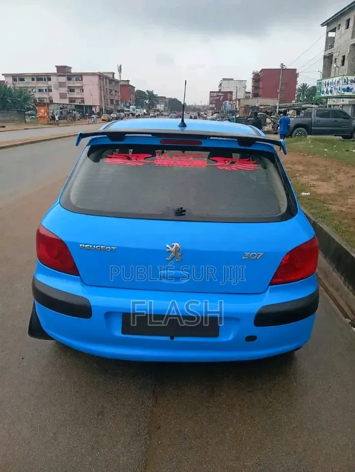 Peugeot 307 2010 Bleu