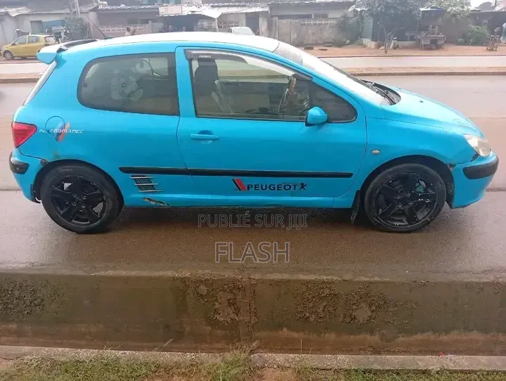 Peugeot 307 2010 Bleu