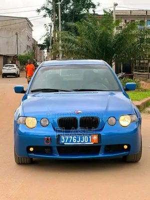 BMW 316i 2008 Bleu