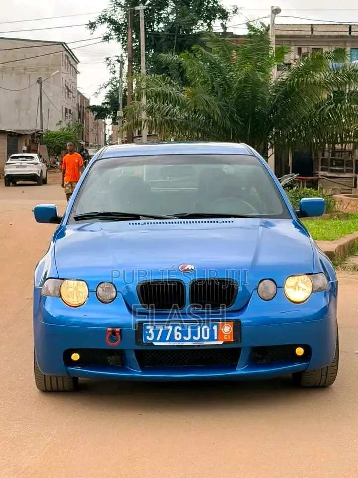 BMW 316i 2008 Bleu