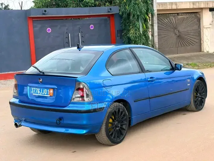 BMW 316i 2008 Bleu