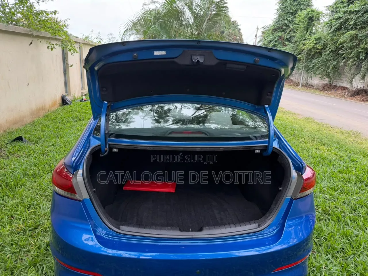 Hyundai Elantra 2017 Bleu