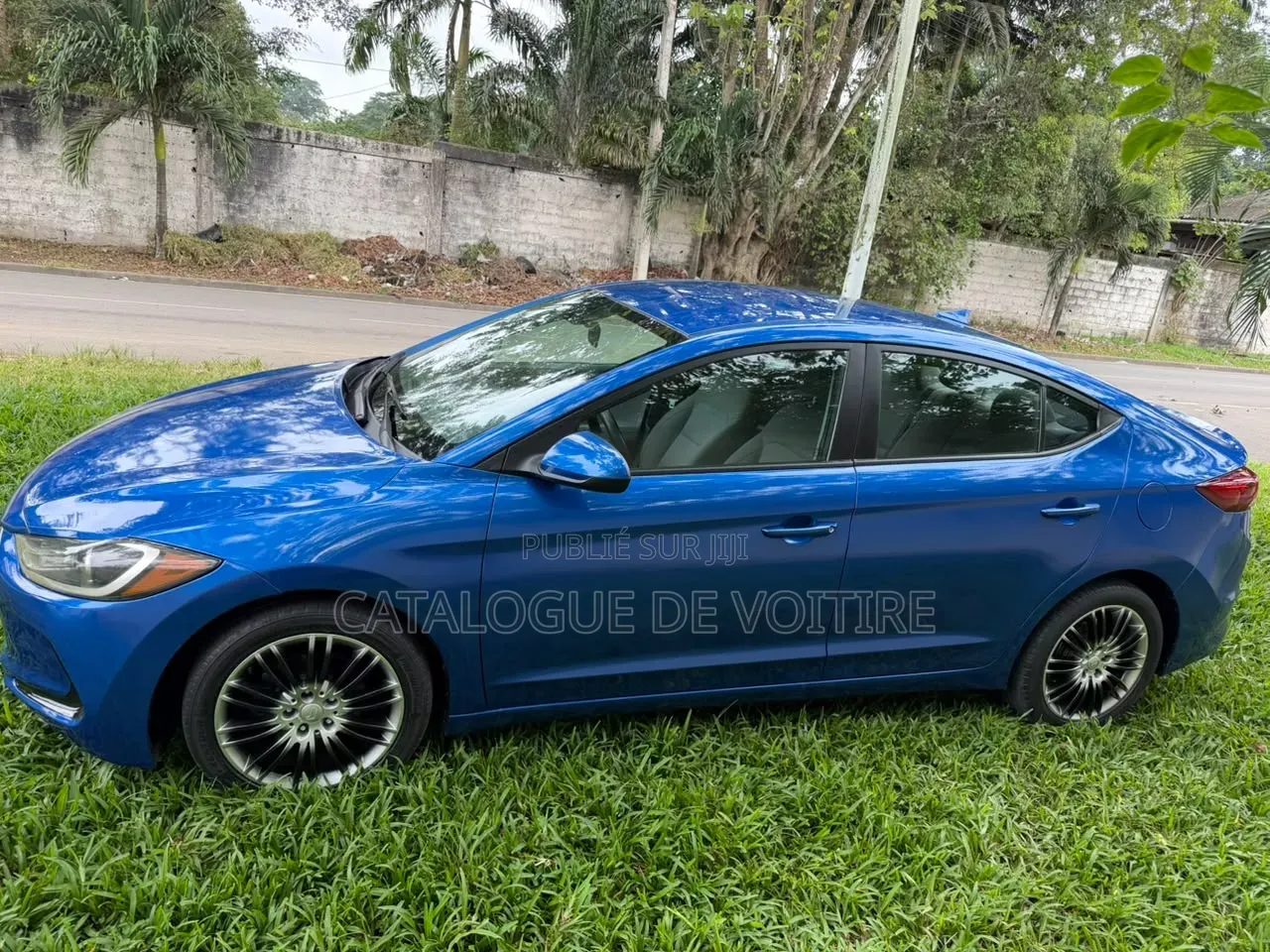 Hyundai Elantra 2017 Bleu