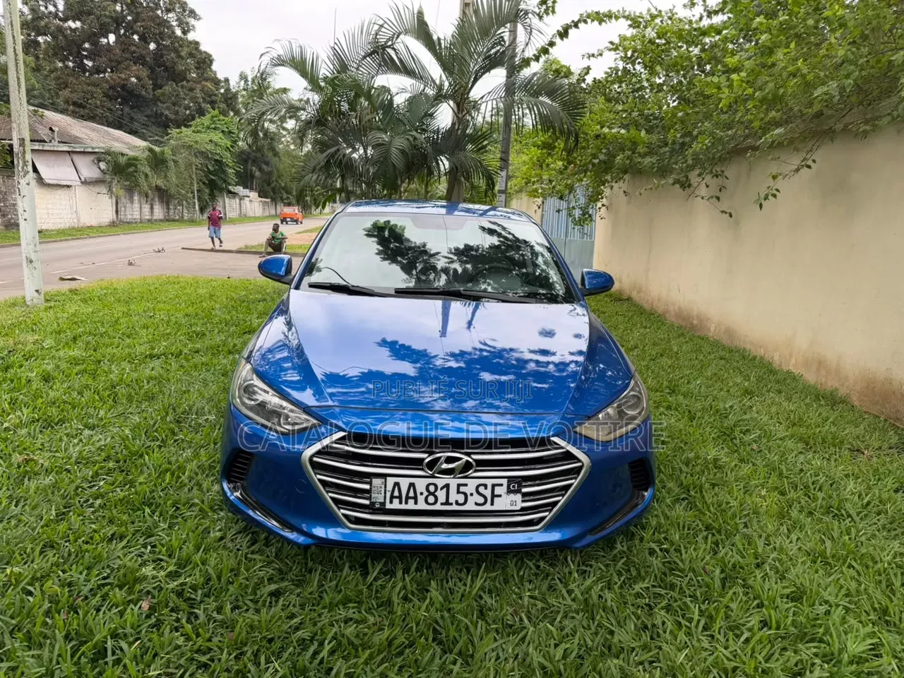 Hyundai Elantra 2017 Bleu