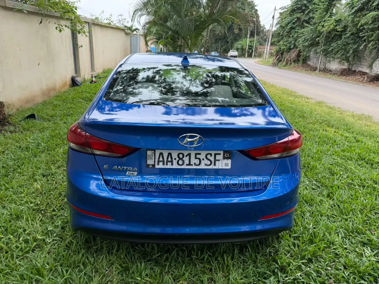 Hyundai Elantra 2017 Bleu