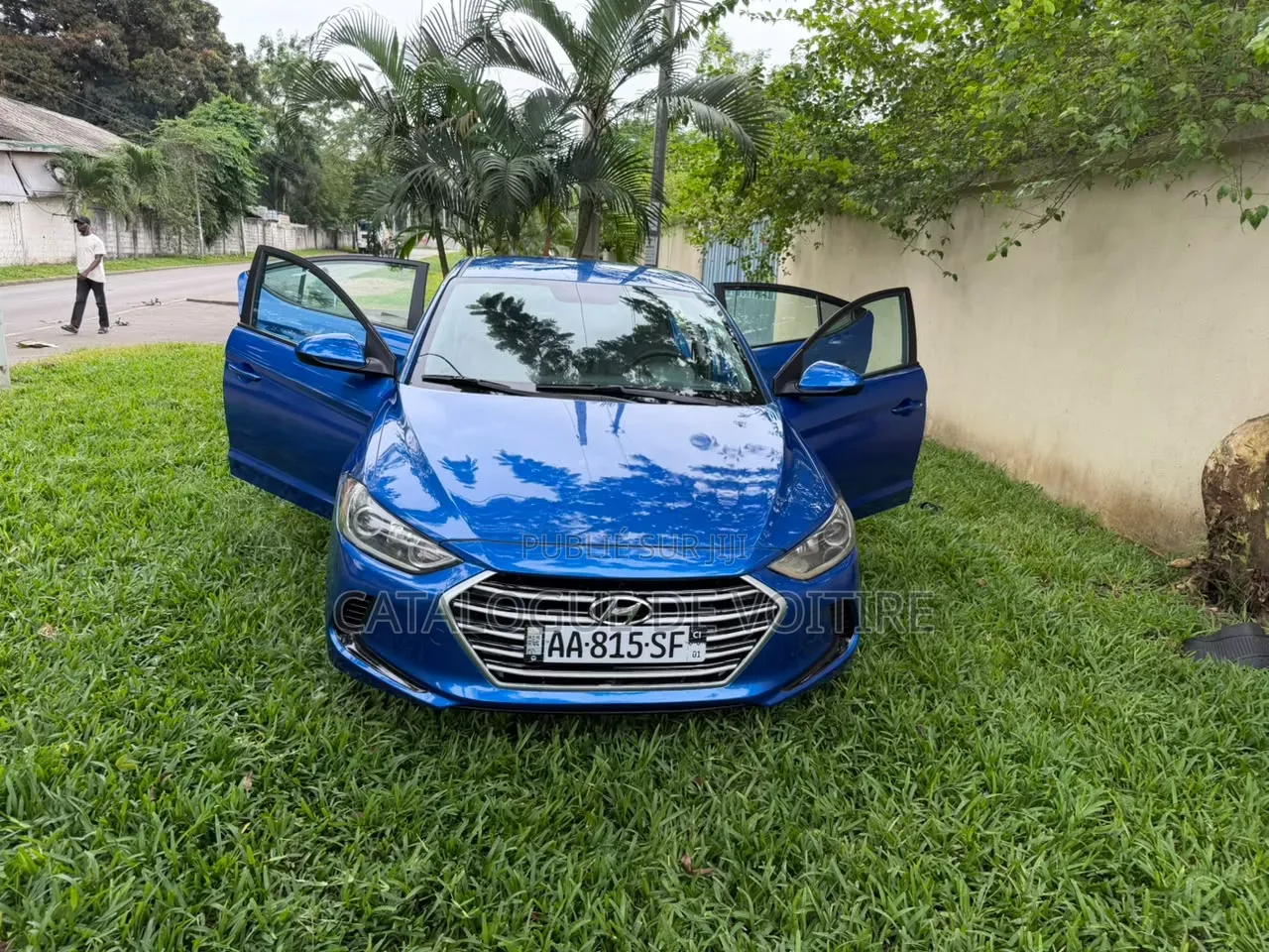 Hyundai Elantra 2017 Bleu