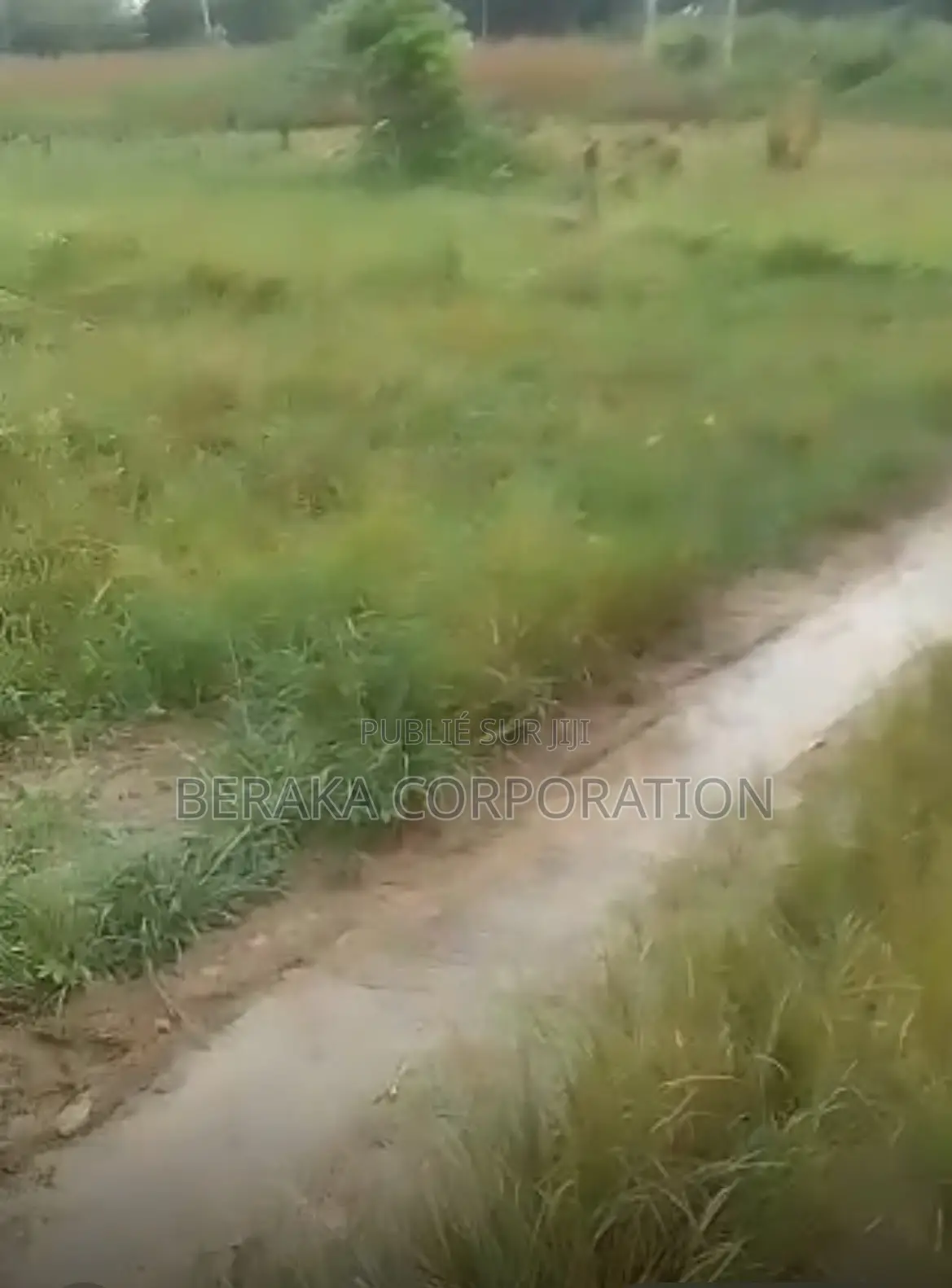 URGENCE À AZAGUIÉ GARE ! 2 Terrains Collés De 400 M2 Chacun Doc