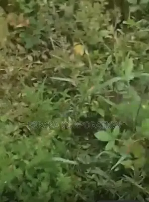 URGENCE À AZAGUIÉ GARE ! 2 Terrains Collés De 400 M2 Chacun Doc