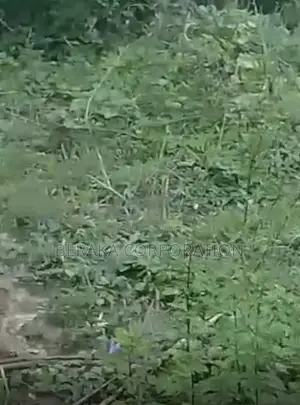 URGENCE À AZAGUIÉ GARE ! 2 Terrains Collés De 400 M2 Chacun Doc