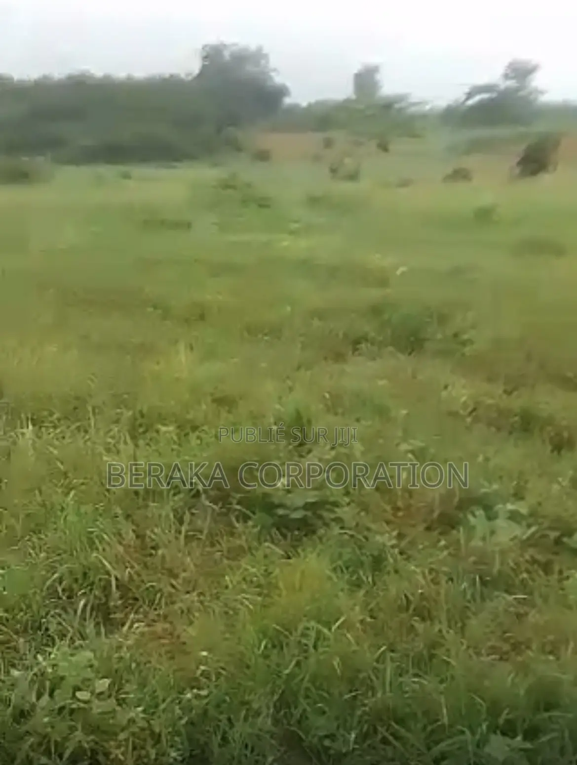 URGENCE À AZAGUIÉ GARE ! 2 Terrains Collés De 400 M2 Chacun Doc