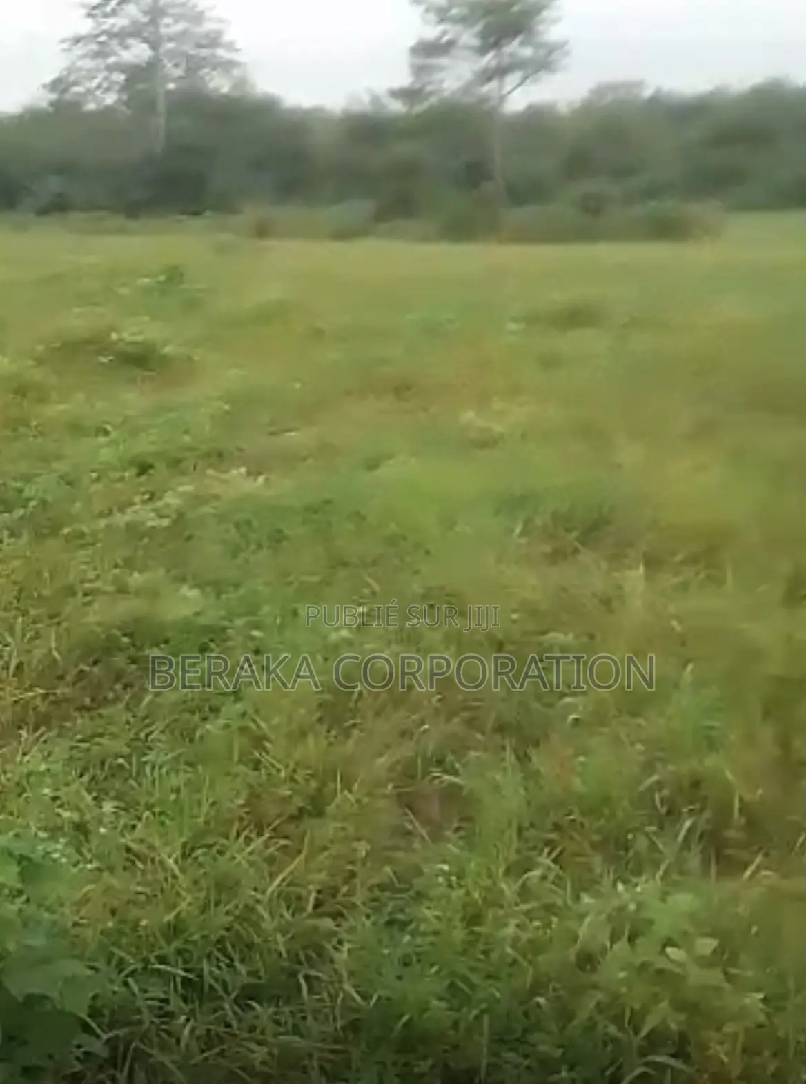 URGENCE À AZAGUIÉ GARE ! 2 Terrains Collés De 400 M2 Chacun Doc