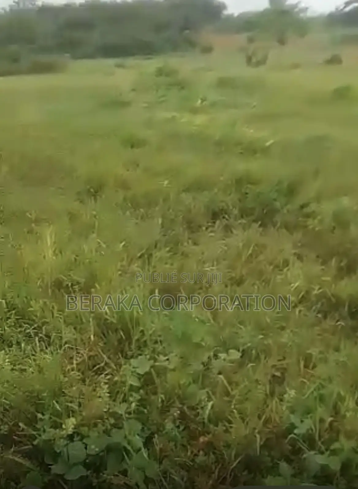 URGENCE À AZAGUIÉ GARE ! 2 Terrains Collés De 400 M2 Chacun Doc