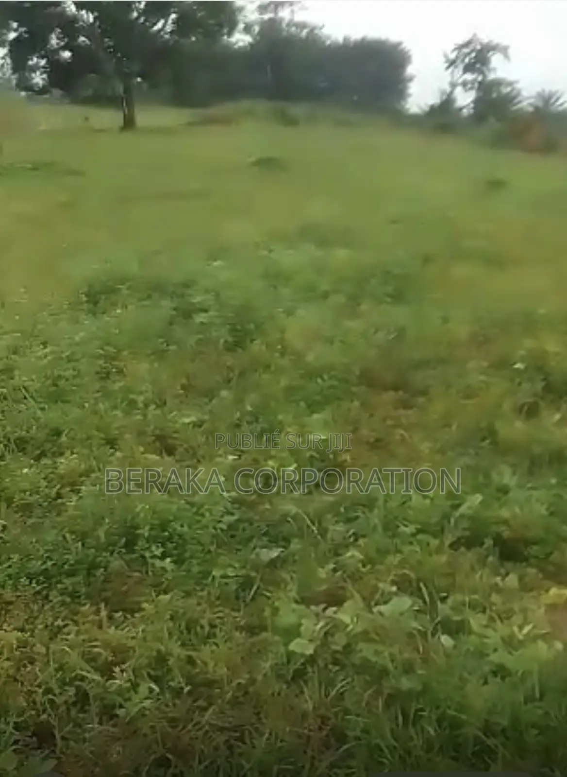 URGENCE À AZAGUIÉ GARE ! 2 Terrains Collés De 400 M2 Chacun Doc