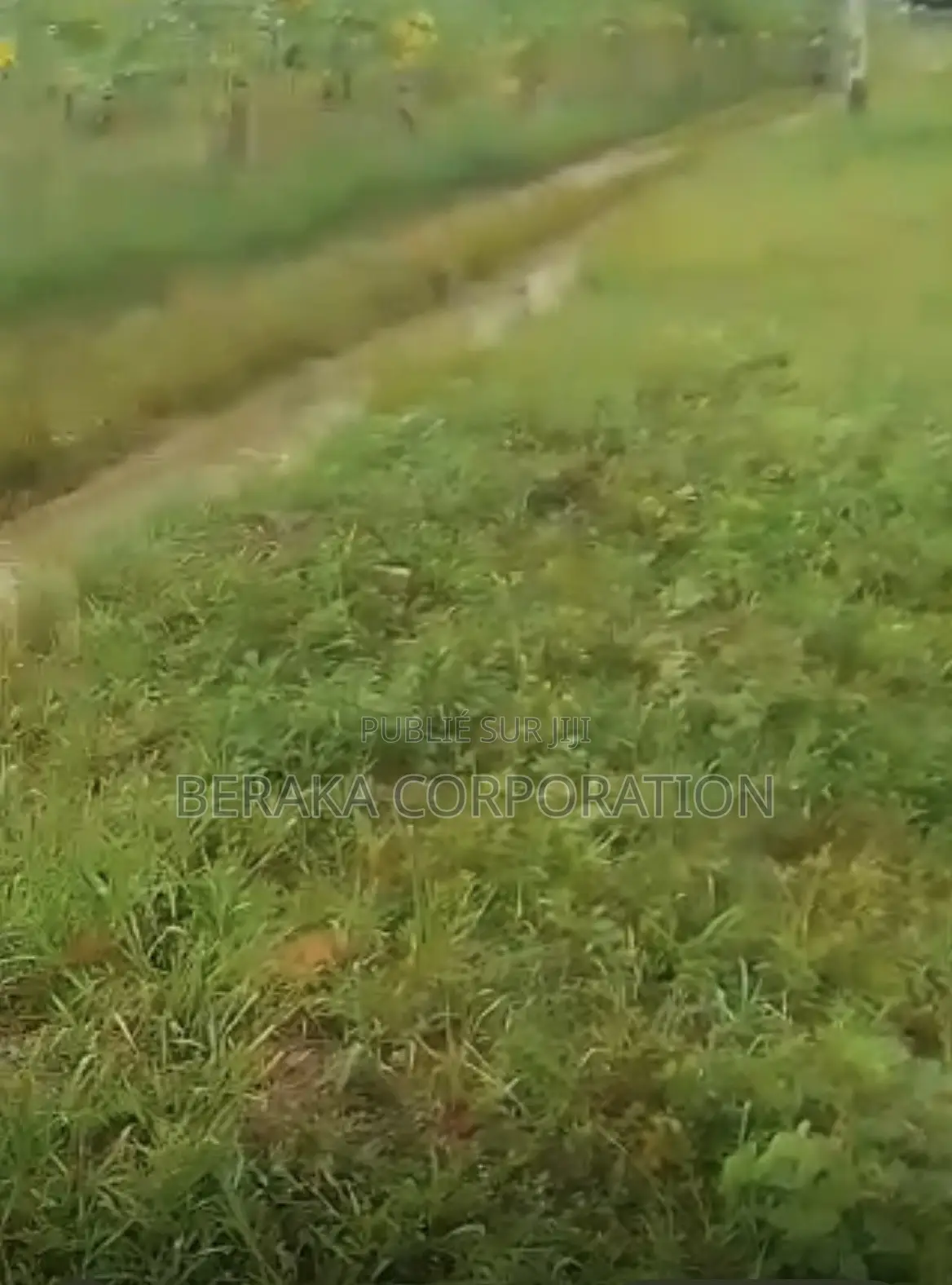 URGENCE À AZAGUIÉ GARE ! 2 Terrains Collés De 400 M2 Chacun Doc