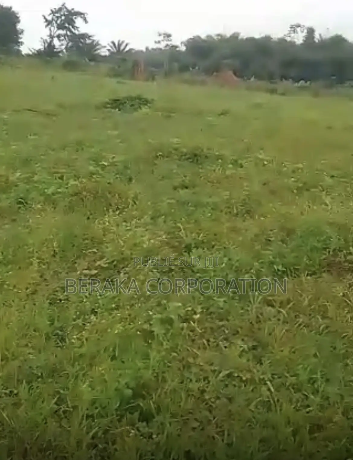 URGENCE À AZAGUIÉ GARE ! 2 Terrains Collés De 400 M2 Chacun Doc