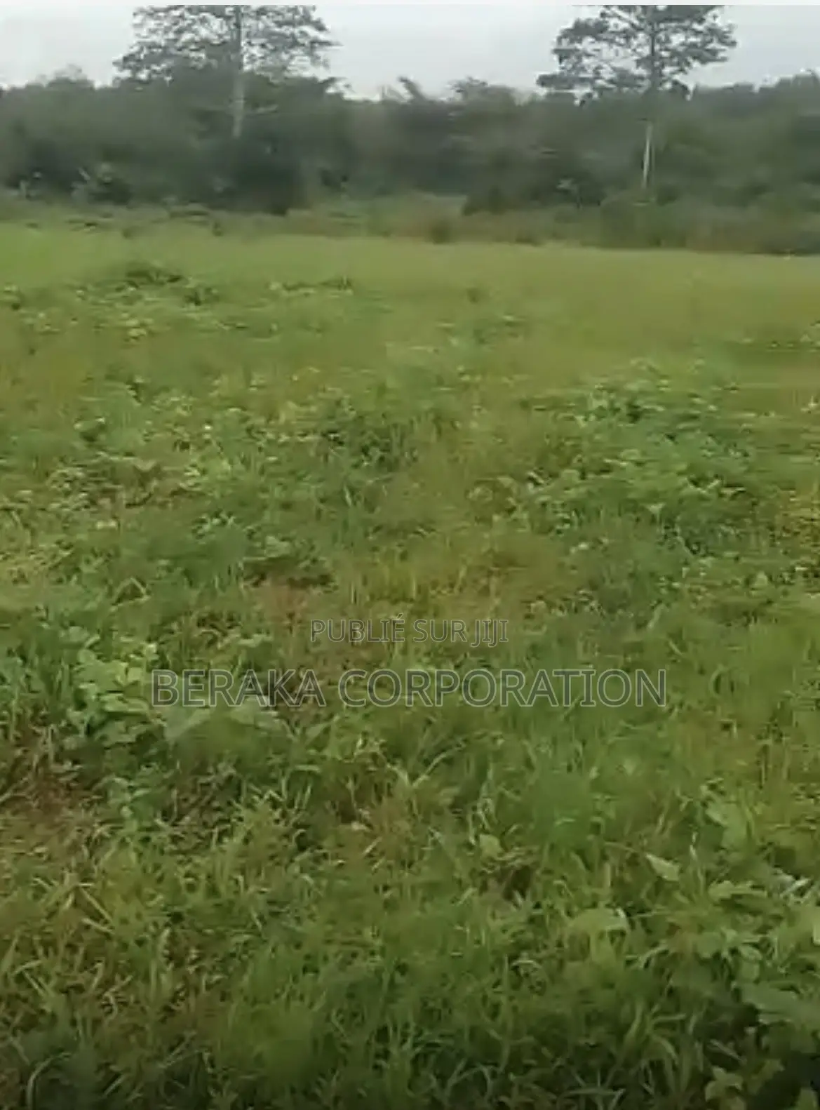 URGENCE À AZAGUIÉ GARE ! 2 Terrains Collés De 400 M2 Chacun Doc