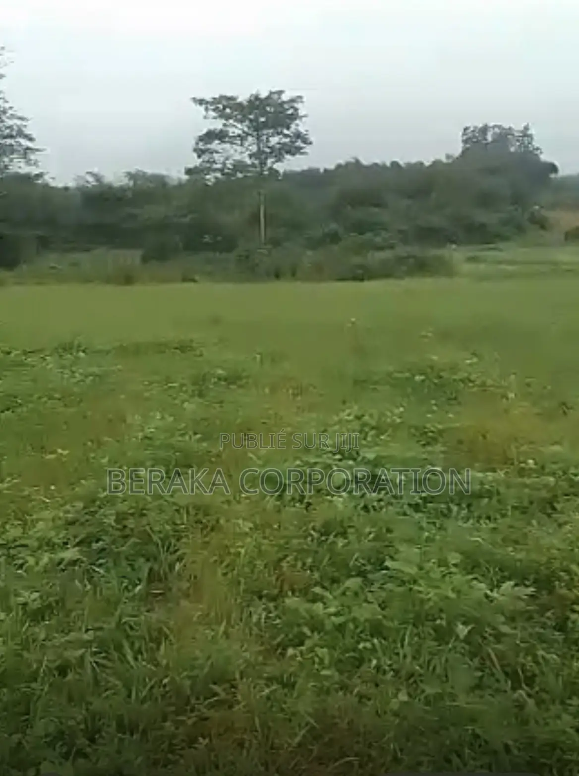 URGENCE À AZAGUIÉ GARE ! 2 Terrains Collés De 400 M2 Chacun Doc