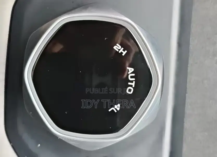 Changan Hunter Plus 2.0 Petrol 4x4 2025 Gris