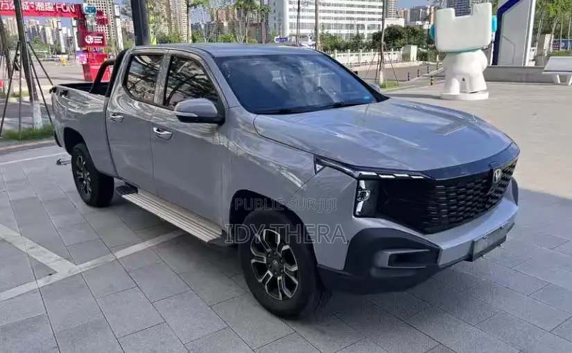 Changan Hunter Plus 2.0 Petrol 4x4 2025 Gris