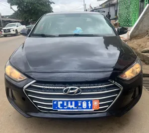 Hyundai Elantra 2018 Noir