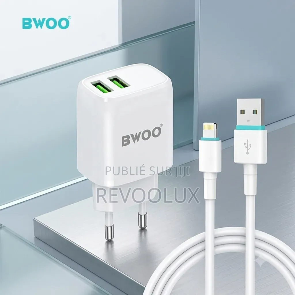 Chargeur Universel Avec Câble USB iPhone BWOO