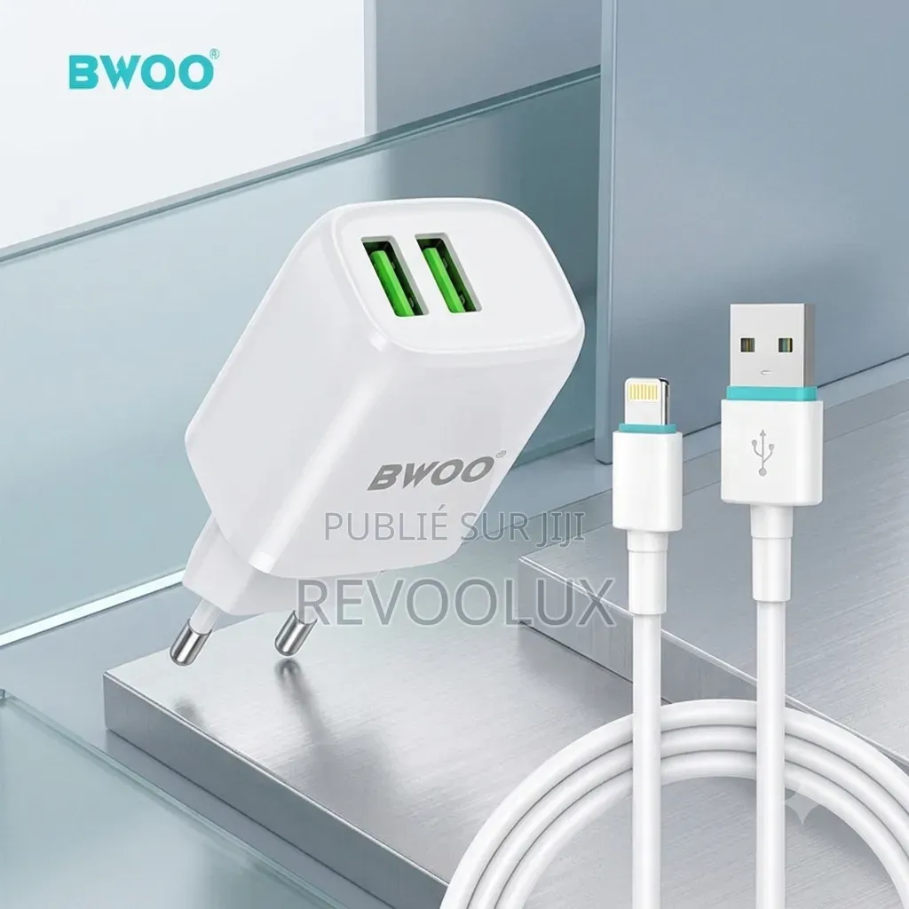 Chargeur Universel Avec Câble USB iPhone BWOO
