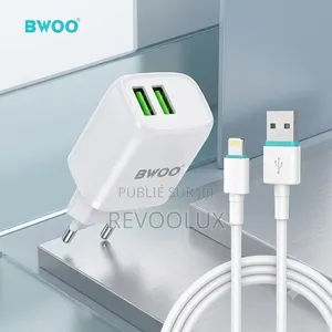 Chargeur Universel Avec Câble USB iPhone BWOO