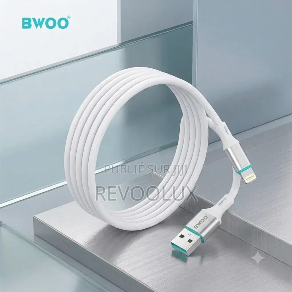 Chargeur Universel Avec Câble USB iPhone BWOO