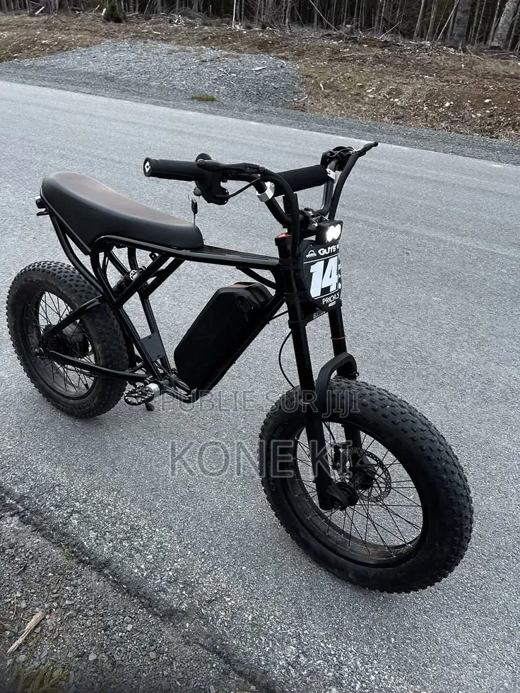 Vélo Électrique