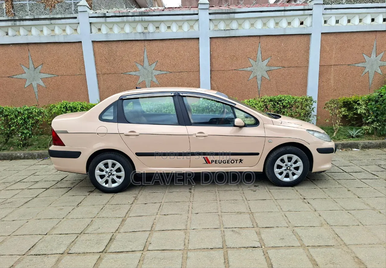 Peugeot 307 2010 Beige