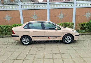Peugeot 307 2010 Beige