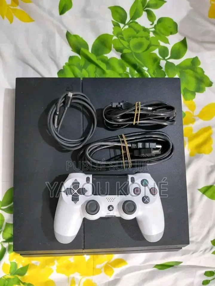 Tout Passe Dans Ce Jeux Vidéo Ps3