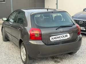 Toyota Corolla 2002 Gris