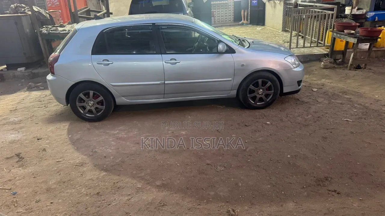 Toyota Corolla 2005 Gris